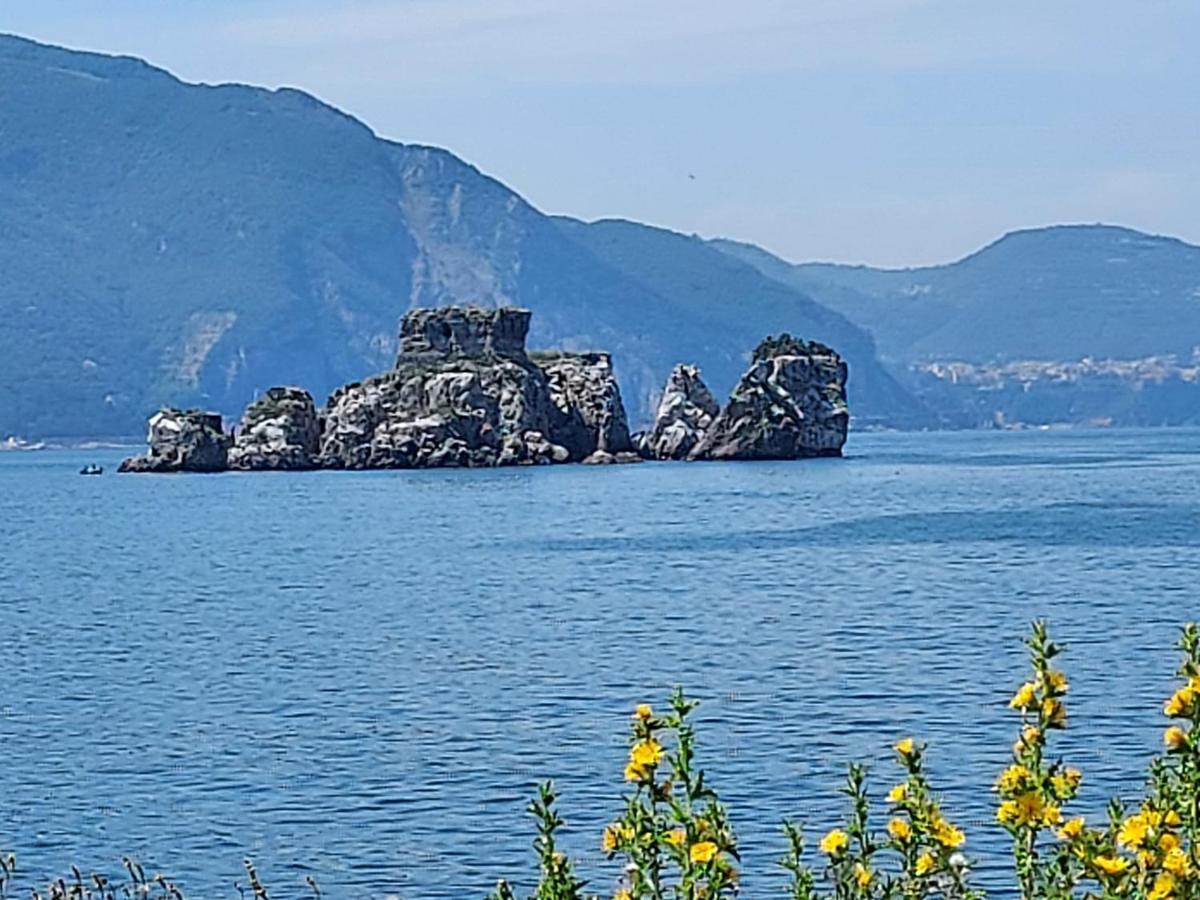 B&B Petra Hercules Torre Annunziata Bagian luar foto